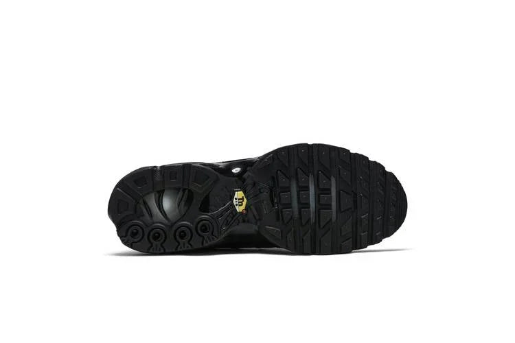 Nike Air Max Plus Triple Black